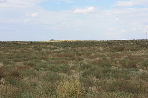 Property photo 123 - LAND AUCTION, 3255+/- Acres offered in 13 Tracts